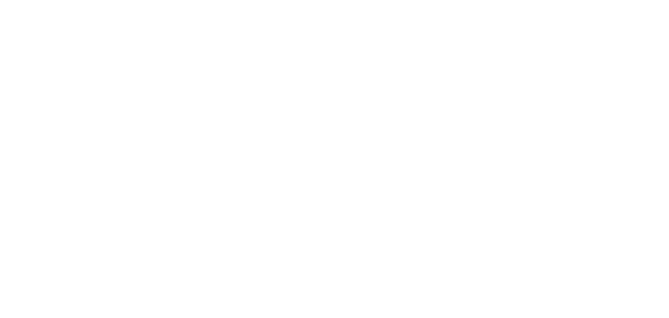 Logo Stripe